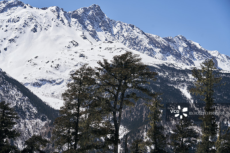 云南白马雪山自然保护区图片素材