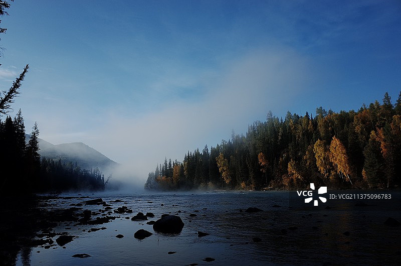 喀纳斯河晨雾图片素材