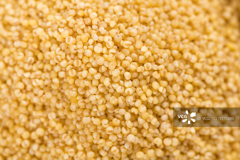 粗粮杂粮小米特写图片素材