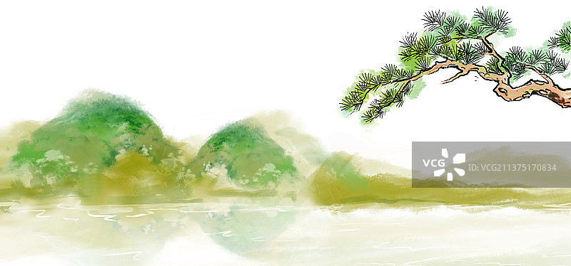 白色背景下的树特写镜头图片素材