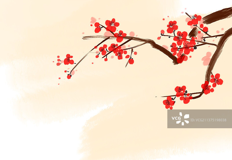 白色背景下的红花特写镜头图片素材