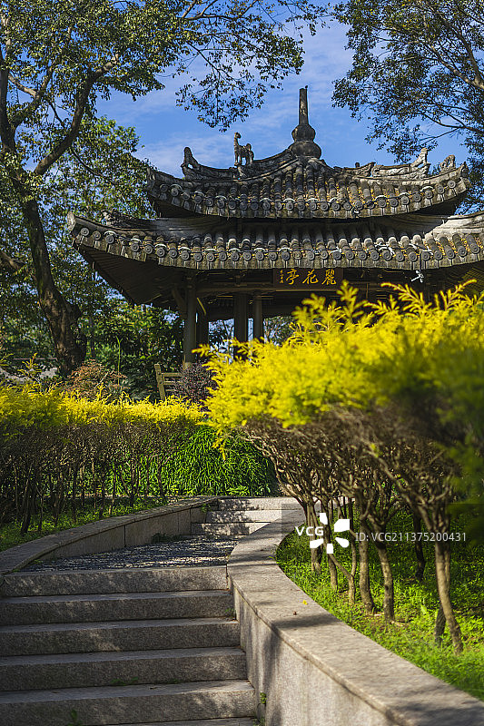 温州三垟湿地公园景色图片素材