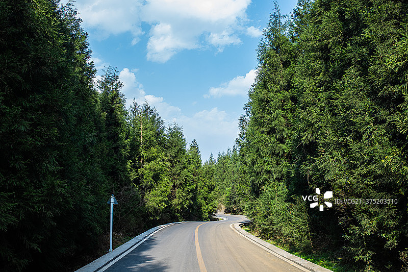 晴天森林里的公路素材图片素材