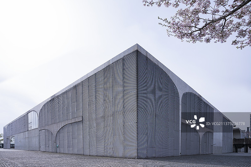 现代建筑艺术馆樱花图片素材