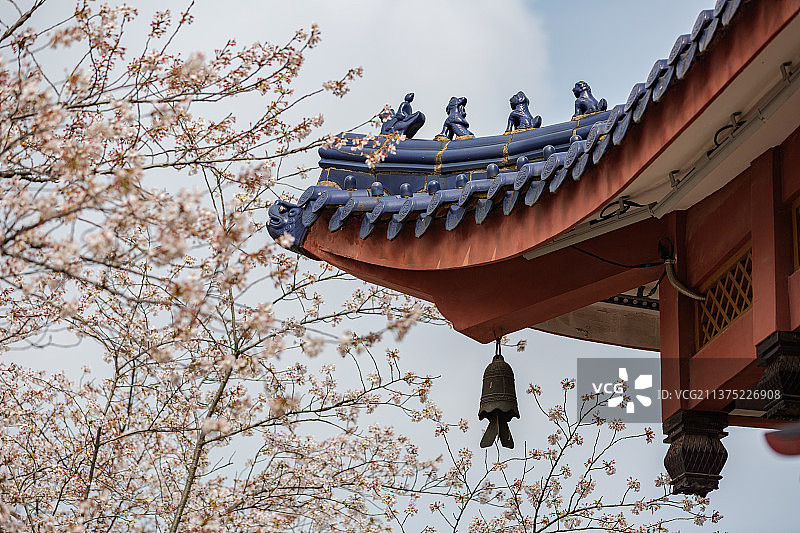 中国园林无锡市太湖鼋头渚赏樱楼建筑樱花风光图片素材