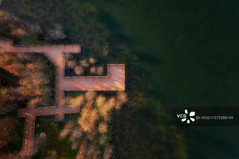 晨光中的湖边小桥图片素材