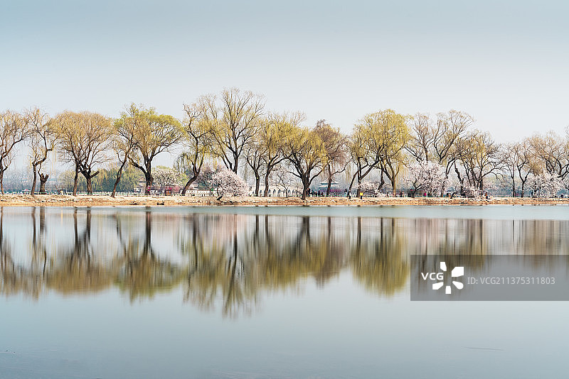 春天傍晚北京颐和园桃花盛开图片素材