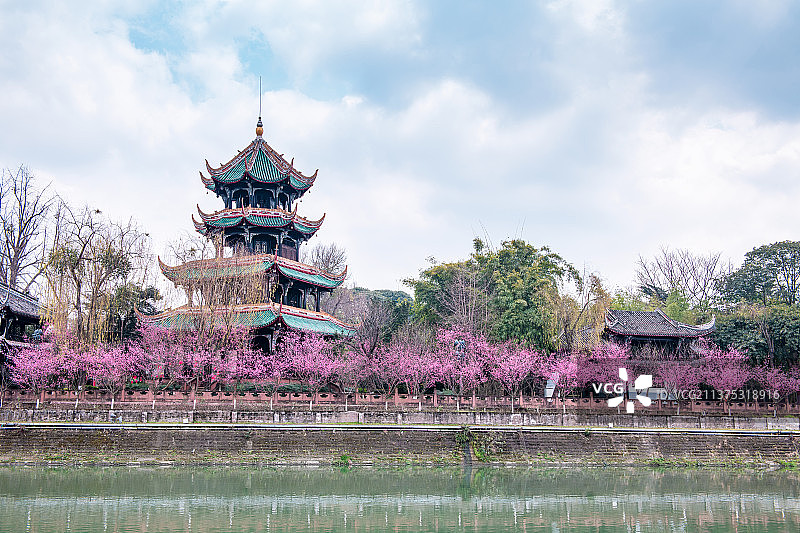 春天成都望江公园自然风光图片素材