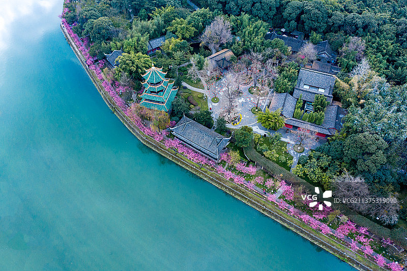 航拍成都望江公园春天风光图片素材