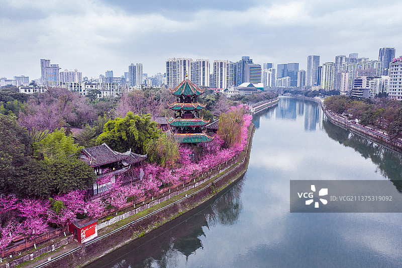 航拍成都望江公园春天风光图片素材