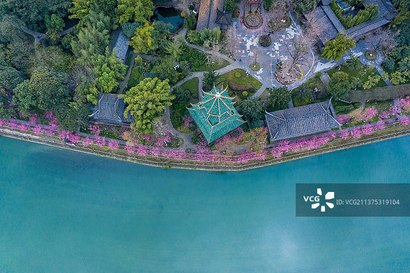 航拍成都望江公园春天风光图片素材