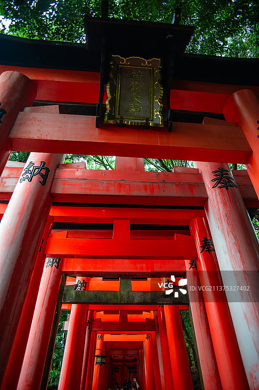 千本鸟居图片素材