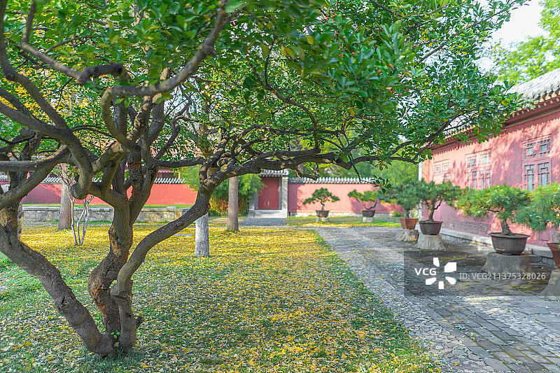 中国山东省泰安市泰山区泰山旅游景区著名景点，古代建筑行宫岱庙里的中式庭院拍摄主题，户外无人图像摄影图片素材