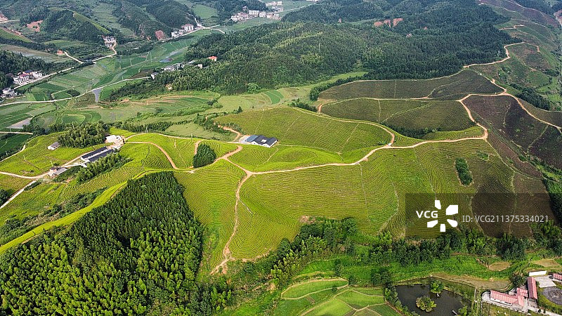 宜春乡村自然风光图片素材