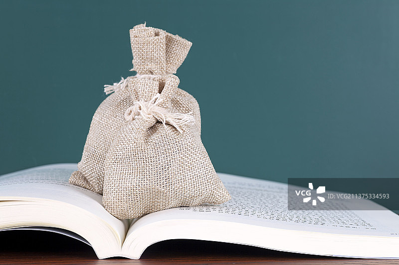 放在书本上的钱袋子图片素材