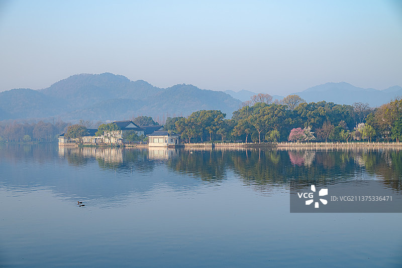 苏堤春晓图片素材