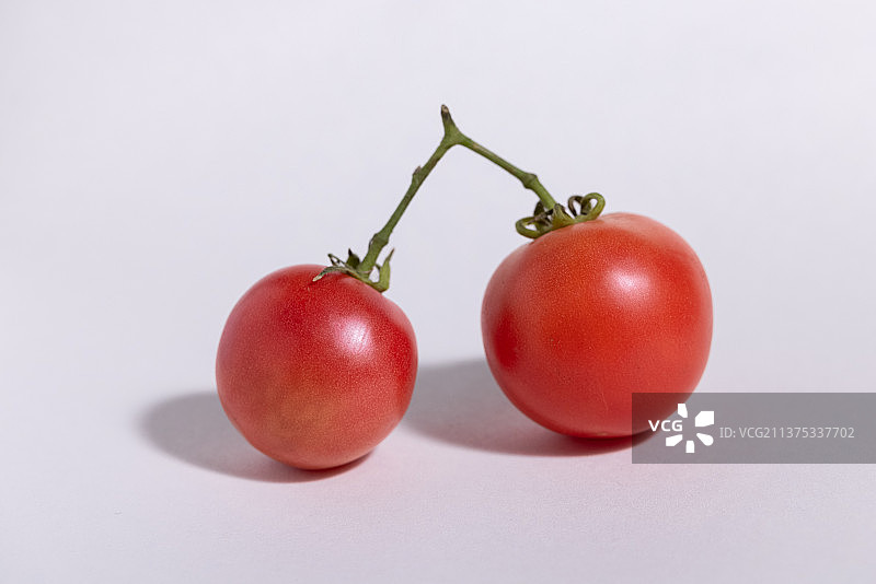 西红柿图片素材