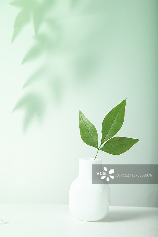 春天春意绿色图片素材