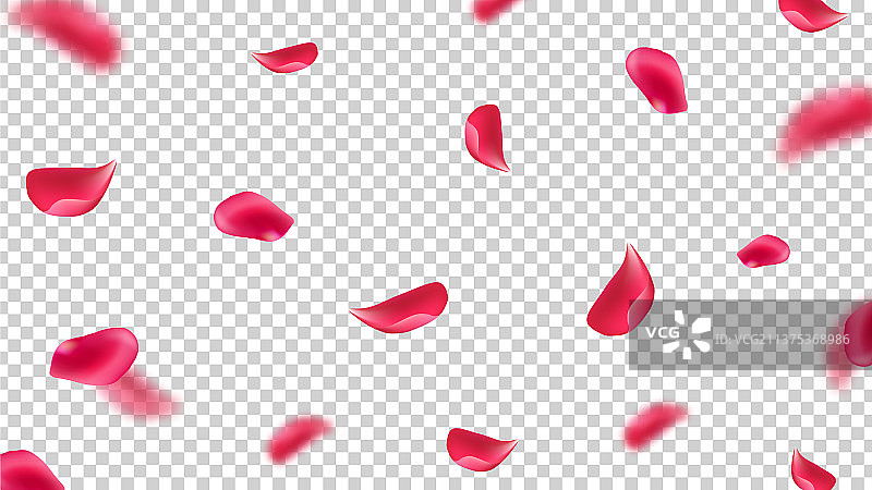 飘落的粉色花瓣和玫瑰叶图片素材