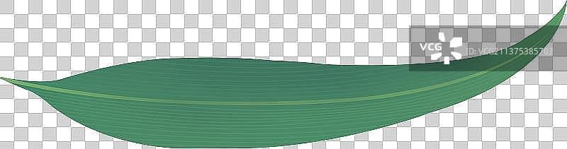 端午节新鲜粽叶传统食品插画元素图片素材