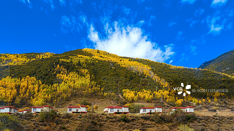 高原秋色图片素材