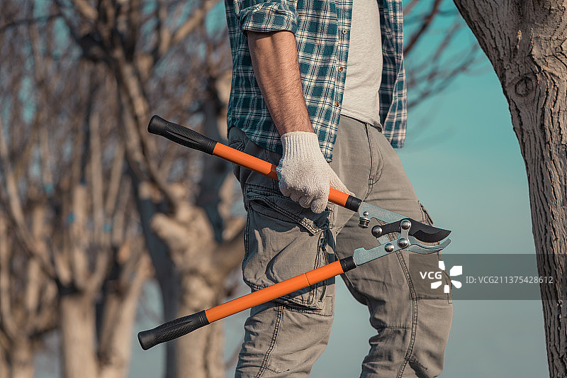 塞尔维亚农民在核桃园手持修枝剪图片素材