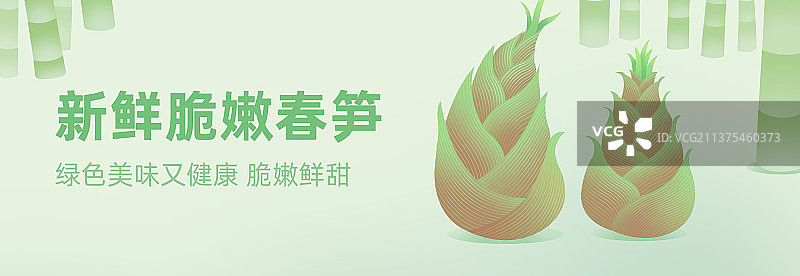 春笋竹笋绿色健康食物蔬菜设计模版图片素材