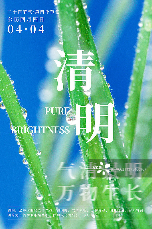 24节气之清明节竖版简约风海报图片素材