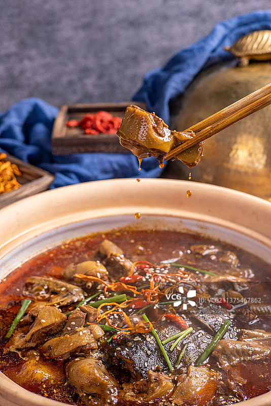 甲鱼炖鸽子肉图片素材