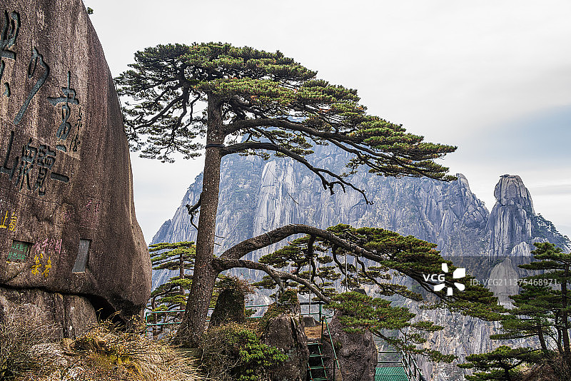 安徽 黄山市 国家级重点风景名胜区 黄山景区图片素材