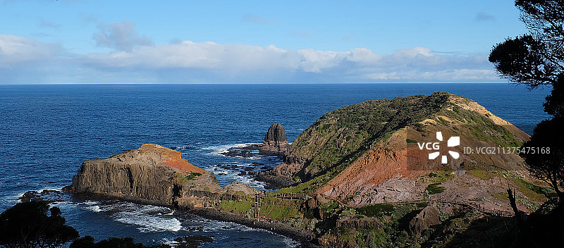 澳大利亚 | 莫宁顿半岛图片素材