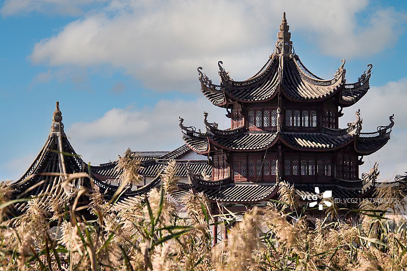 芦苇亭图片素材