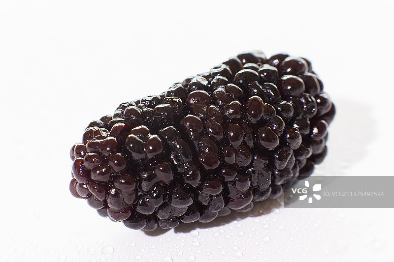 白背景桑葚大特写图片素材