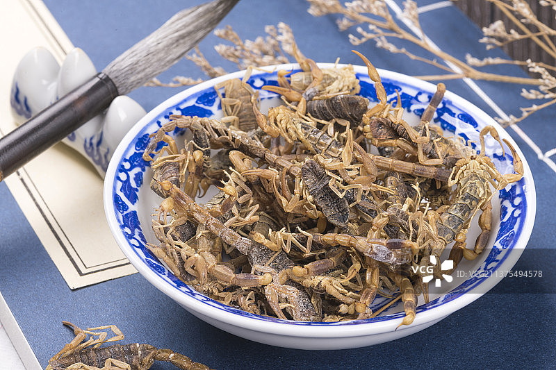 中药全蝎干蝎子特写图片素材