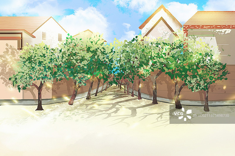 阳光下的别墅住宅区图片素材