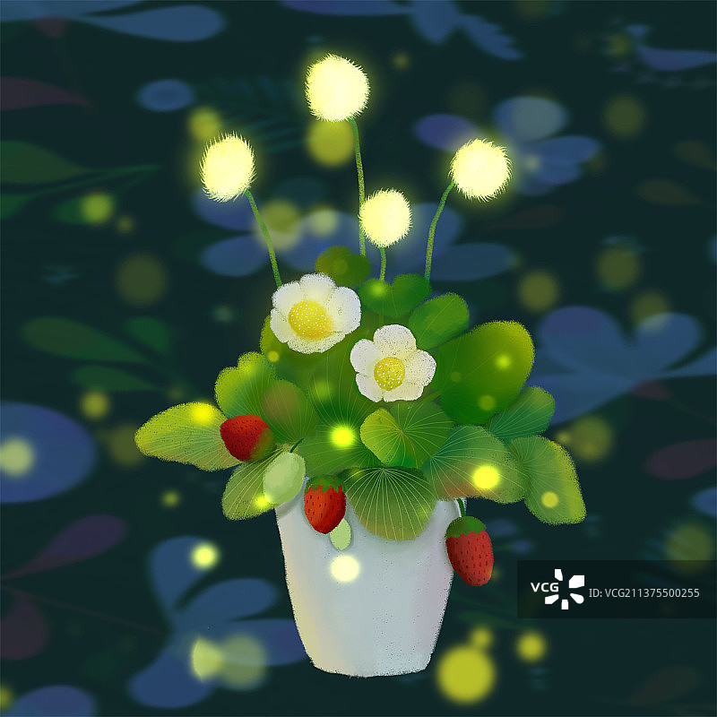 花盆中的草莓图片素材