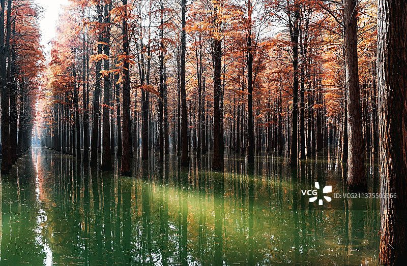 梦里水乡图片素材