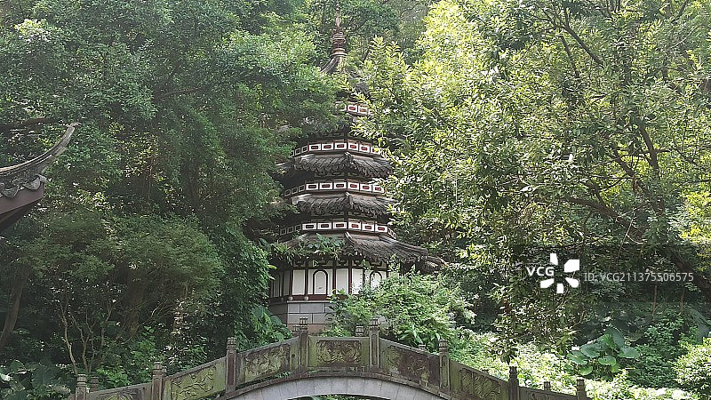 深圳园博园图片素材