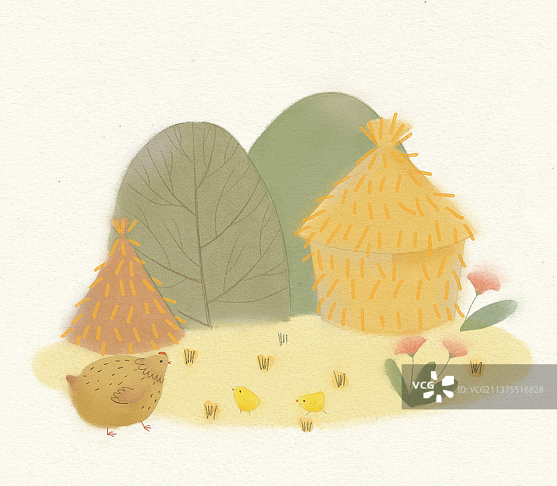 农场母鸡小鸡稻草堆图片素材