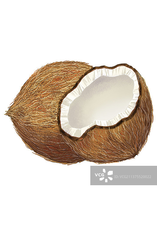 椰子热带水果图片素材
