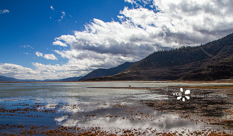 香格里拉的纳帕海图片素材