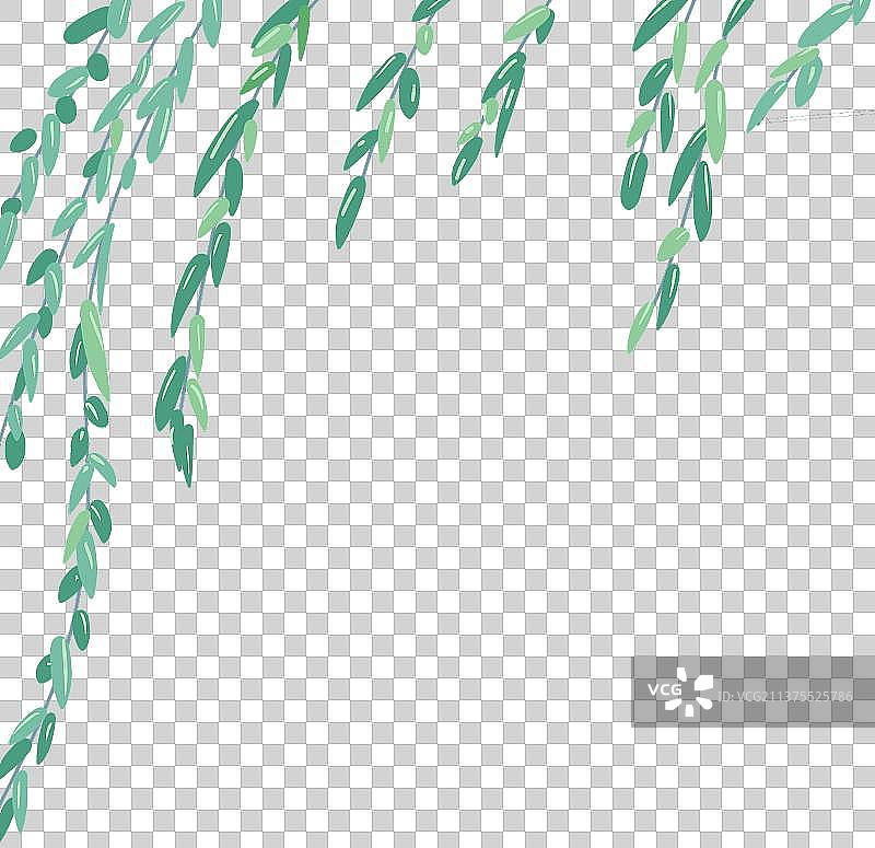 柳条元素图片素材