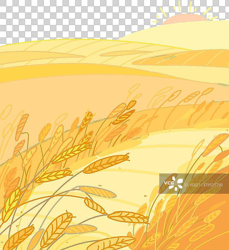 稻田元素图片素材