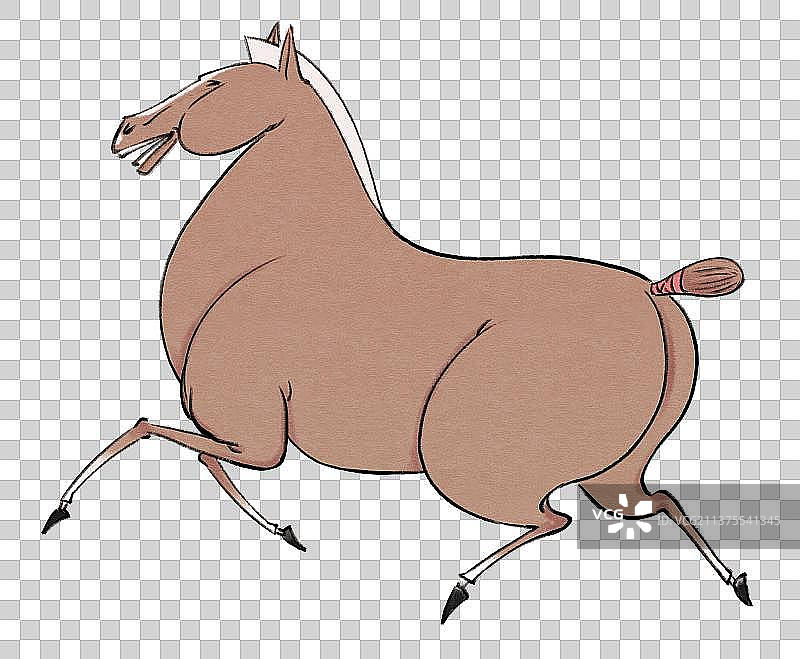 奔跑的马匹图片素材