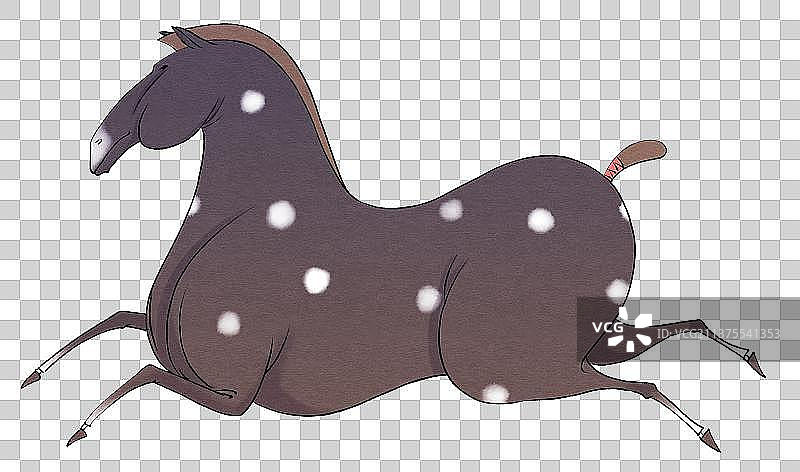 奔跑的马匹图片素材