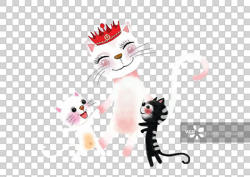 大白猫过生日图片素材