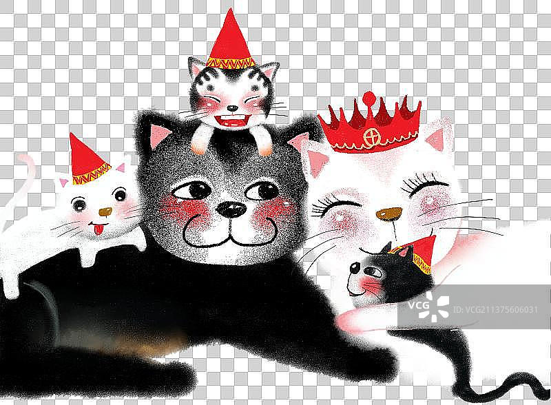 黑猫和白猫和小猫图片素材