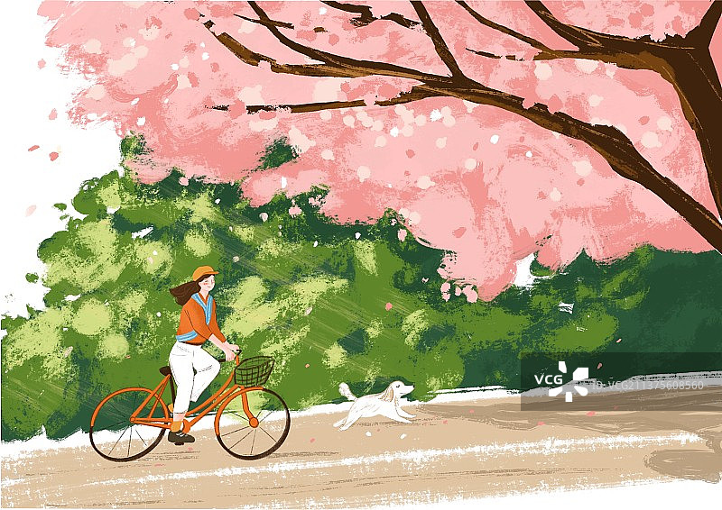 樱花盛开图片素材