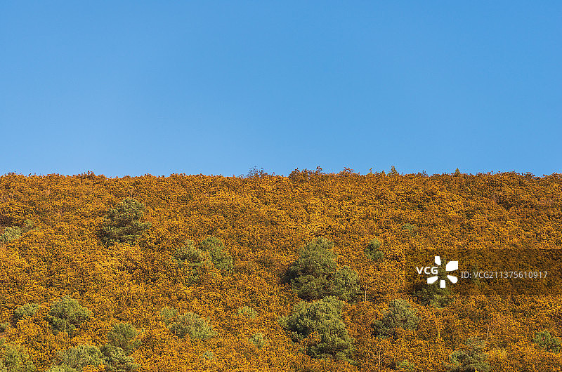 春天的山野与天空图片素材