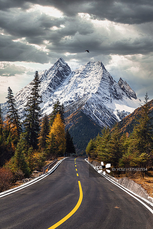 四姑娘山 雙橋溝图片素材